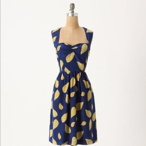 Anthropologie’s Maple Tupelo Silk Dress